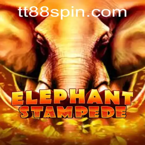 Discovering the Exciting World of ElephantStampede